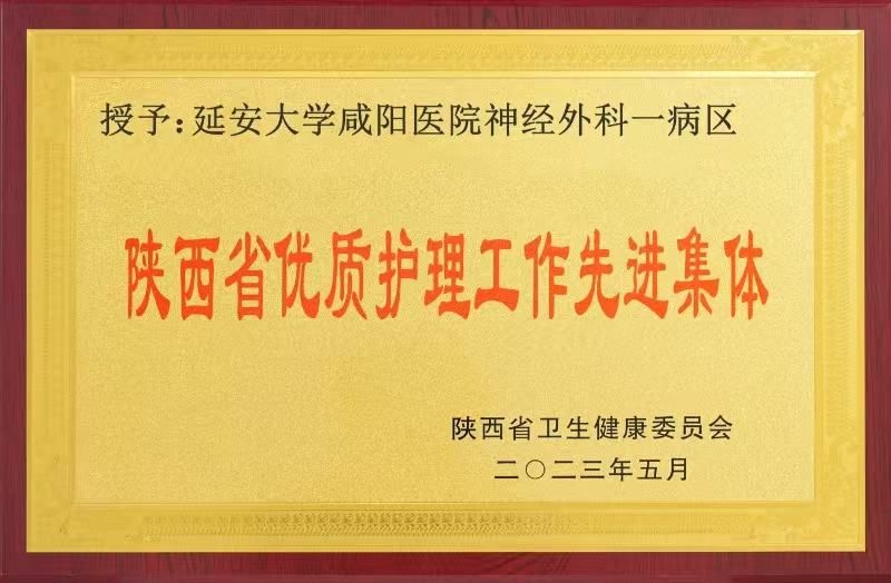 陕西省优质护理工作先进集体